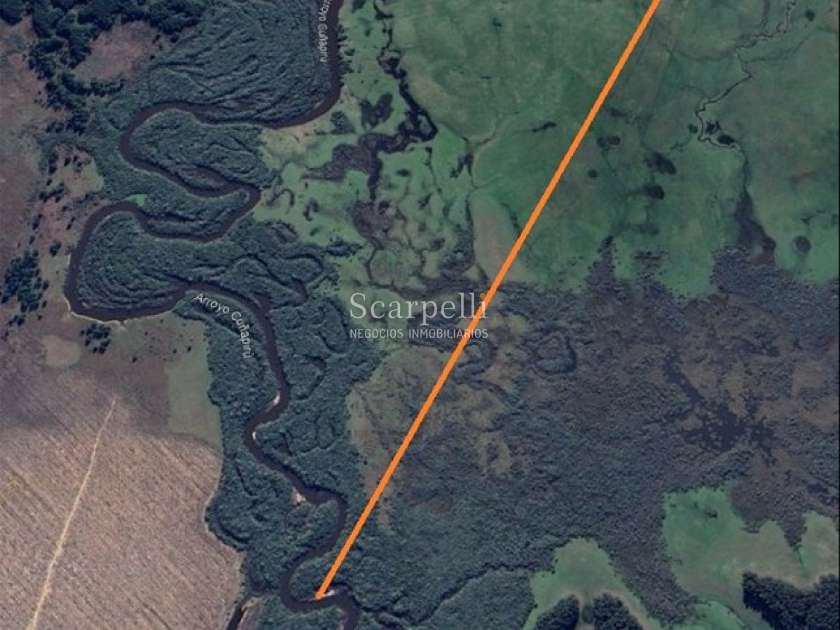 Campo Ref.71 - VENTA CAMPO RIVERA PROXIMO MINAS DE CORRALES