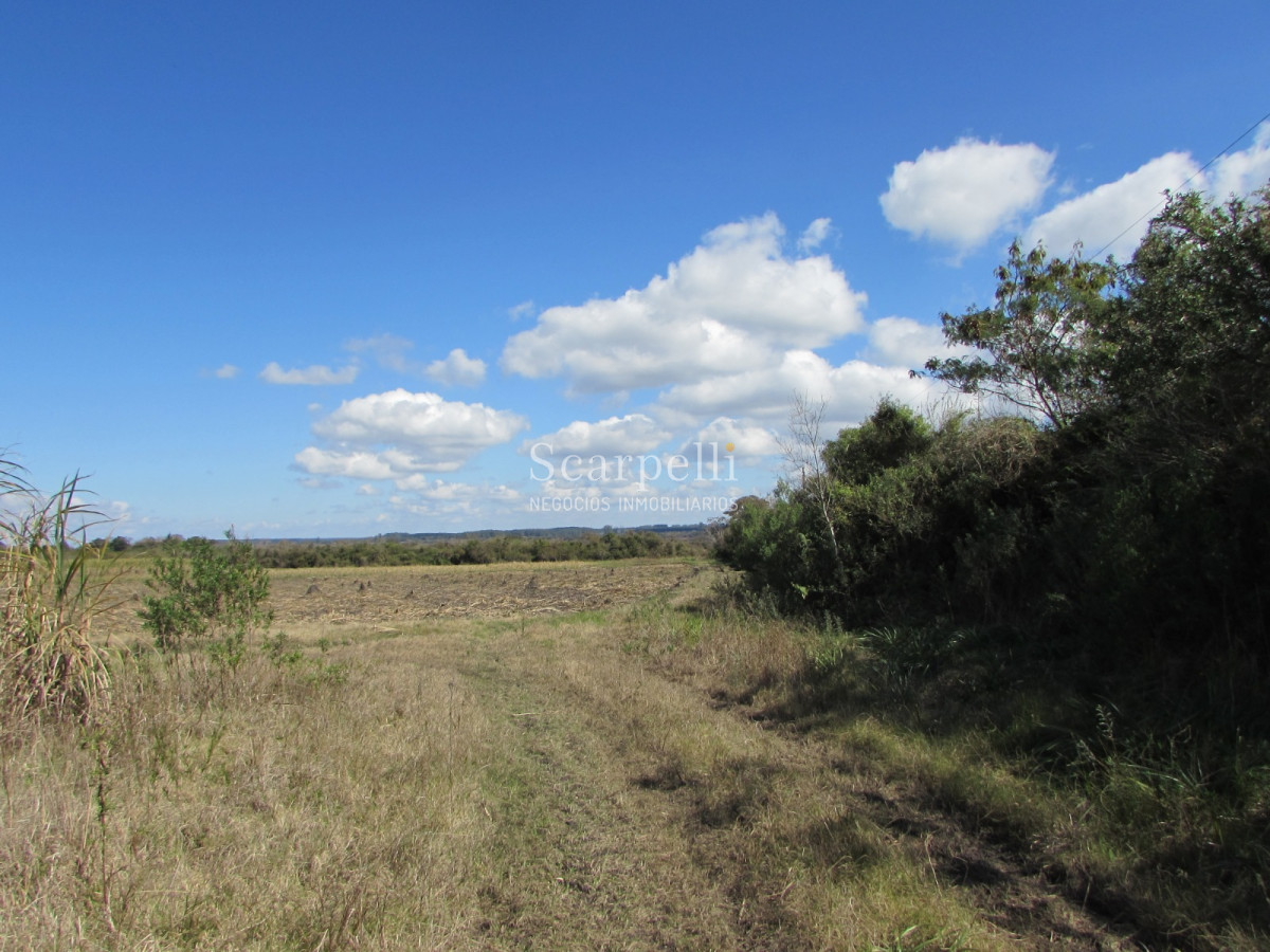 Campo Ref.32291 - Artigas Bella Unión Exclusiva Chacra 11 hás a mts. del Río Uruguay y Frente al Futuro Puente Monte Caseros / Bella Unión