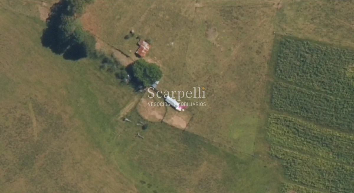 Campo Ref.50419 - Venta Campo Rivera Laureles Valle del Lunarejo proximo 