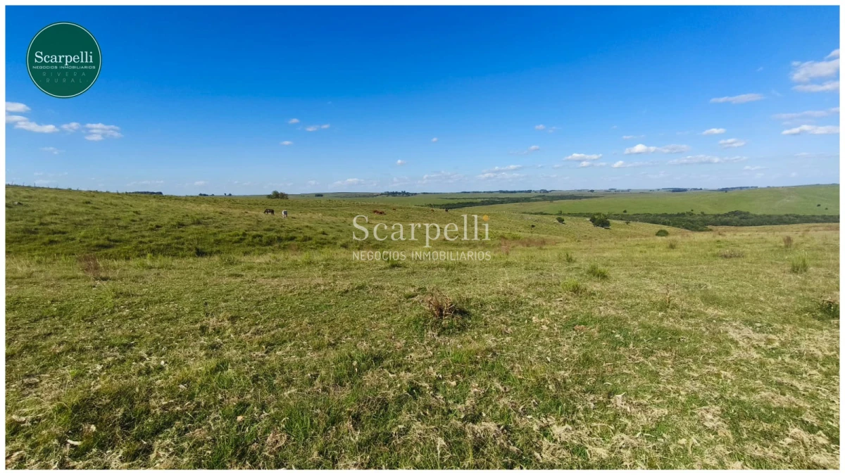 Campo Ref.50563 - Campo con costa al arroyo Yaguarí