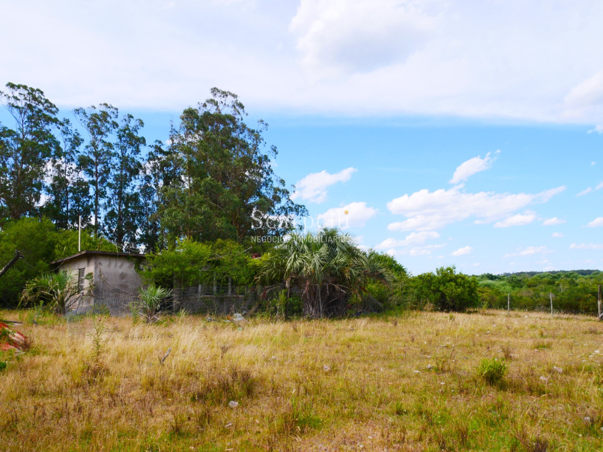 Campo Ref.40596 - VENTA CHACRA MALDONADO CON COSTA AL ARROYO JOSÉ IGNACIO