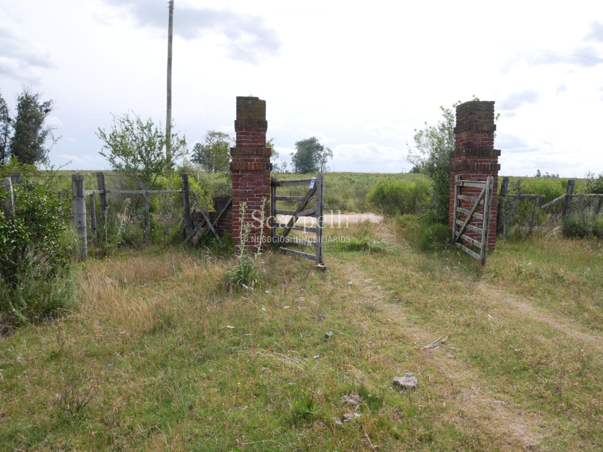 Campo Ref.40596 - VENTA CHACRA MALDONADO CON COSTA AL ARROYO JOSÉ IGNACIO