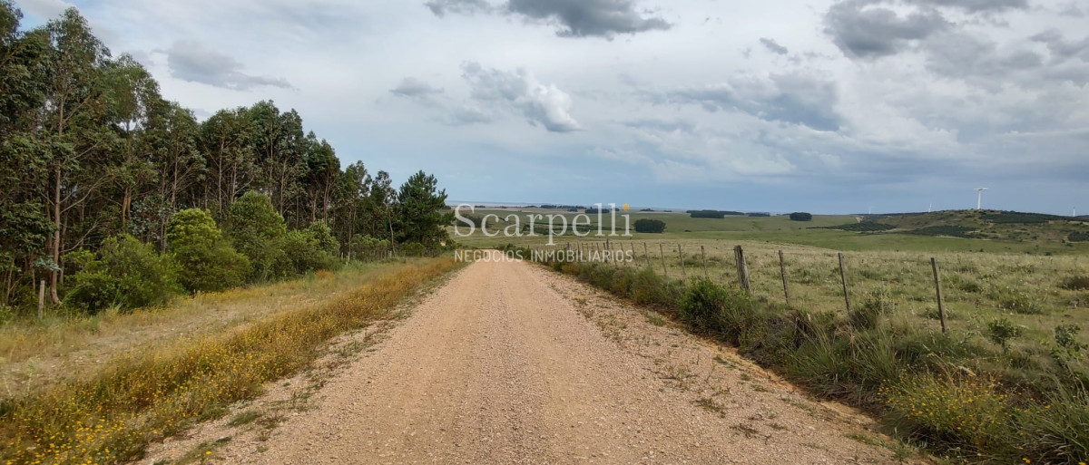 Campo Ref.40710 - VENTA CAMPO ROCHA PROXIMO LAGUNA DE CASTILLOS ENTRE 19 DE ABRIL Y CIUDAD DE CASTILLOS