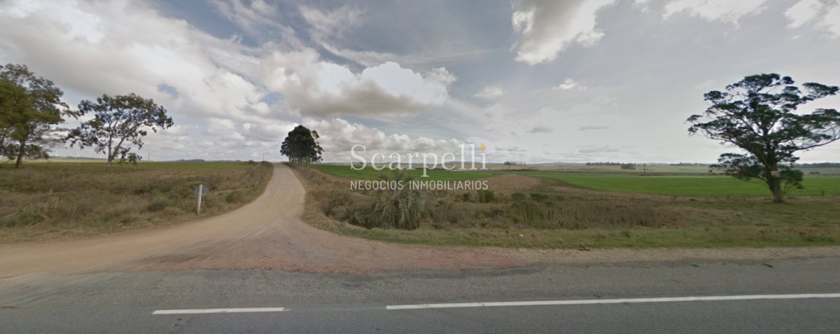 Campo Ref.40710 - VENTA CAMPO ROCHA PROXIMO LAGUNA DE CASTILLOS ENTRE 19 DE ABRIL Y CIUDAD DE CASTILLOS