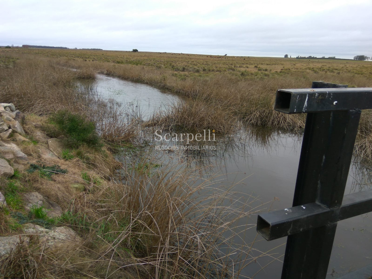 Campo Ref.42955 - Estupendo Campo Agrícola Ganadero proximo a Ruta 5 y Ciudad de Durazno