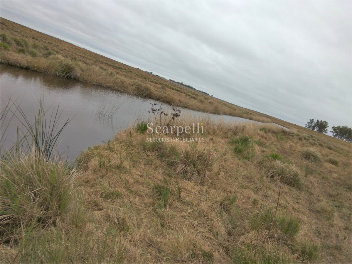 Campo Ref.42955 - Estupendo Campo Agrícola Ganadero proximo a Ruta 5 y Ciudad de Durazno