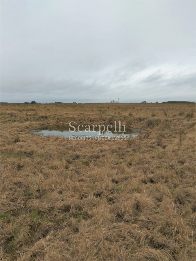 Campo Ref.42955 - Estupendo Campo Agrícola Ganadero proximo a Ruta 5 y Ciudad de Durazno