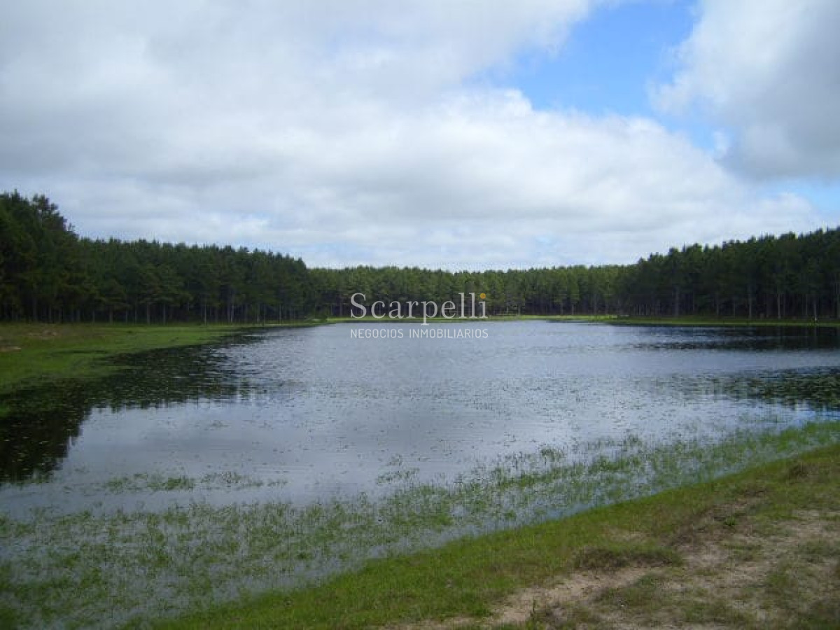 Campo Ref.46797 - Importante Chacra Marítima Proximo Cabo Polonio Uruguay con Playa practicamente privada en casi 1 km. de extensión frente al Océano Atlántico.-