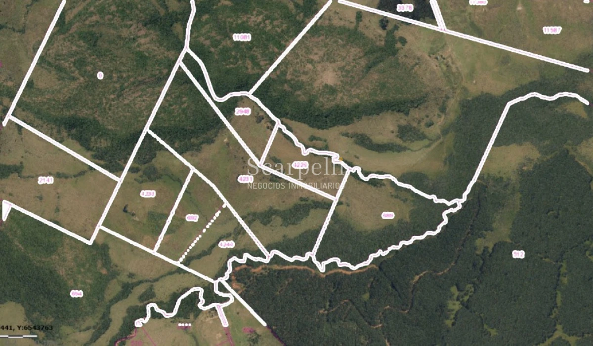 Campo Ref.50419 - Venta Campo Rivera Laureles Valle del Lunarejo proximo 