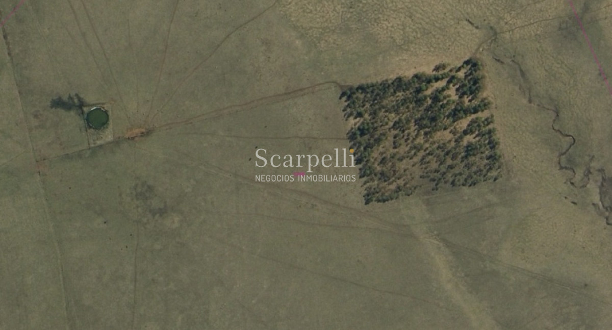 Campo Ref.49361 - Venta Campo Artigas 911 hás Ganadero Bueno próximo Baltasar Brum con instalaciones de trabajo.-