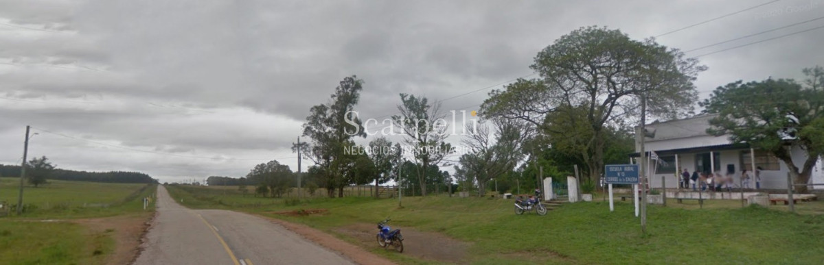 Campo Ref.49687 - Rivera: Campo 112 hás con costas al Arroyo Cuñapirú