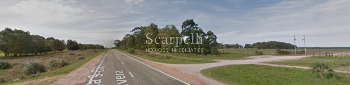Campo Ref.50468 - Venta Campo Rocha Palmares de la Coronilla 425 hás oceánicas