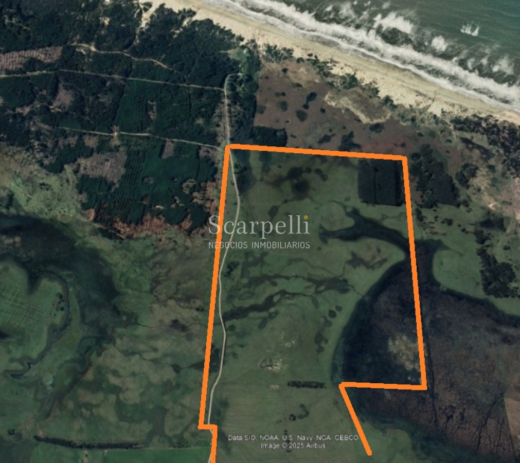 Campo Ref.50468 - Venta Campo Rocha Palmares de la Coronilla 425 hás oceánicas