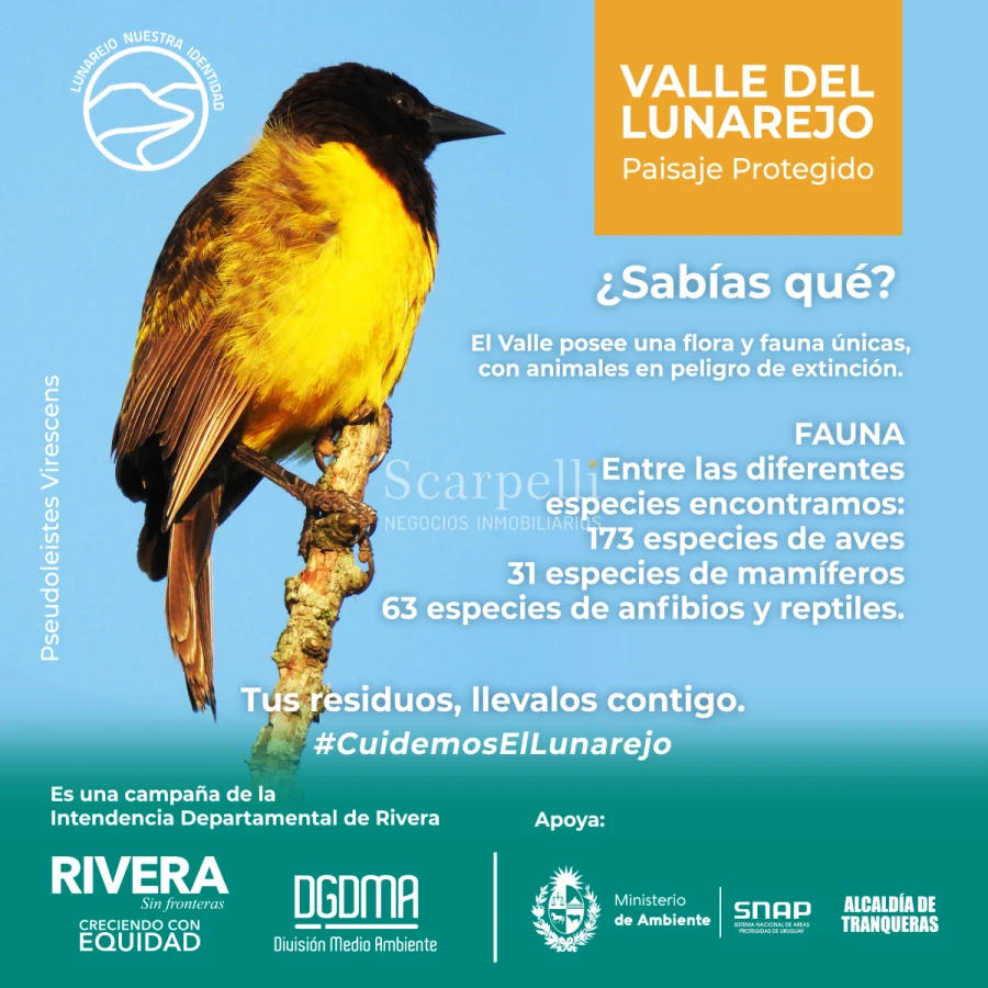 Campo Ref.50419 - Venta Campo Rivera Laureles Valle del Lunarejo proximo 