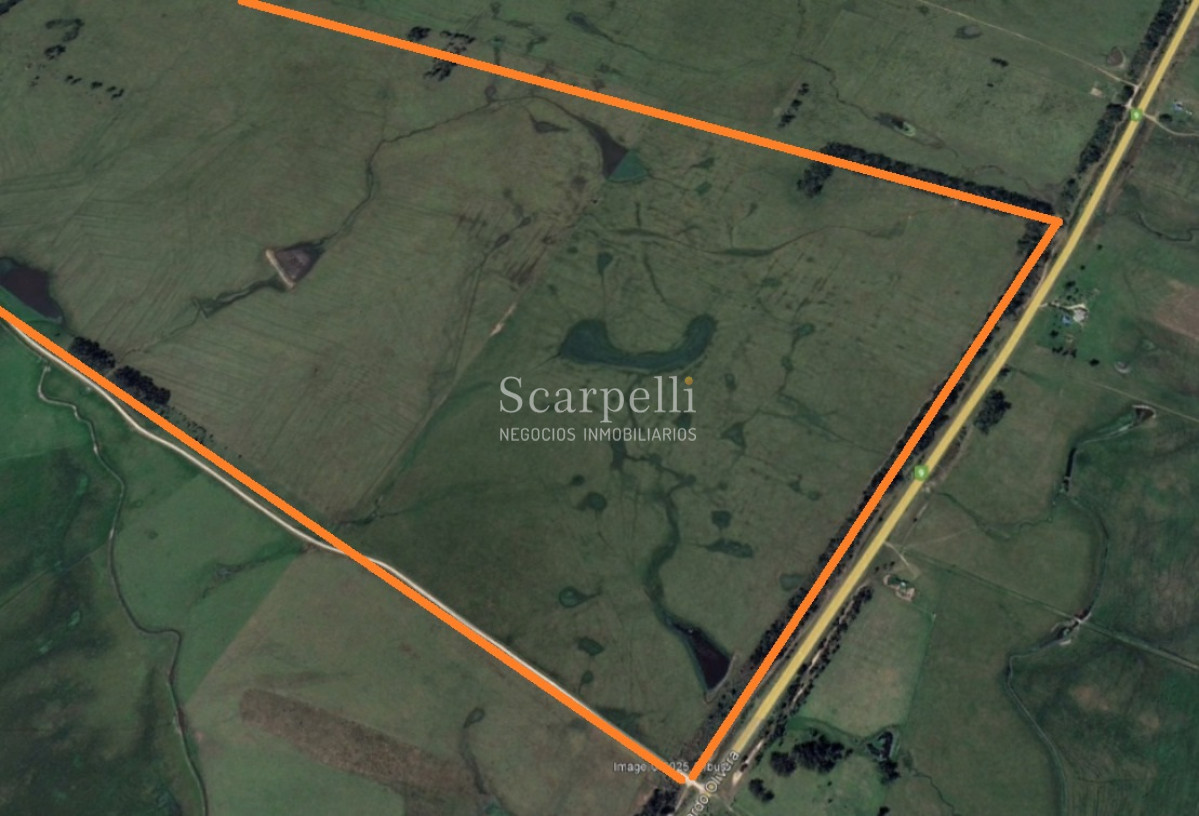 Campo Ref.50468 - Venta Campo Rocha Palmares de la Coronilla 425 hás oceánicas