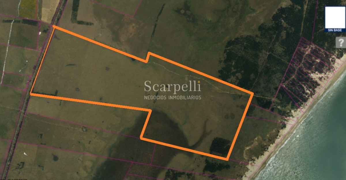Campo Ref.50468 - Venta Campo Rocha Palmares de la Coronilla 425 hás oceánicas