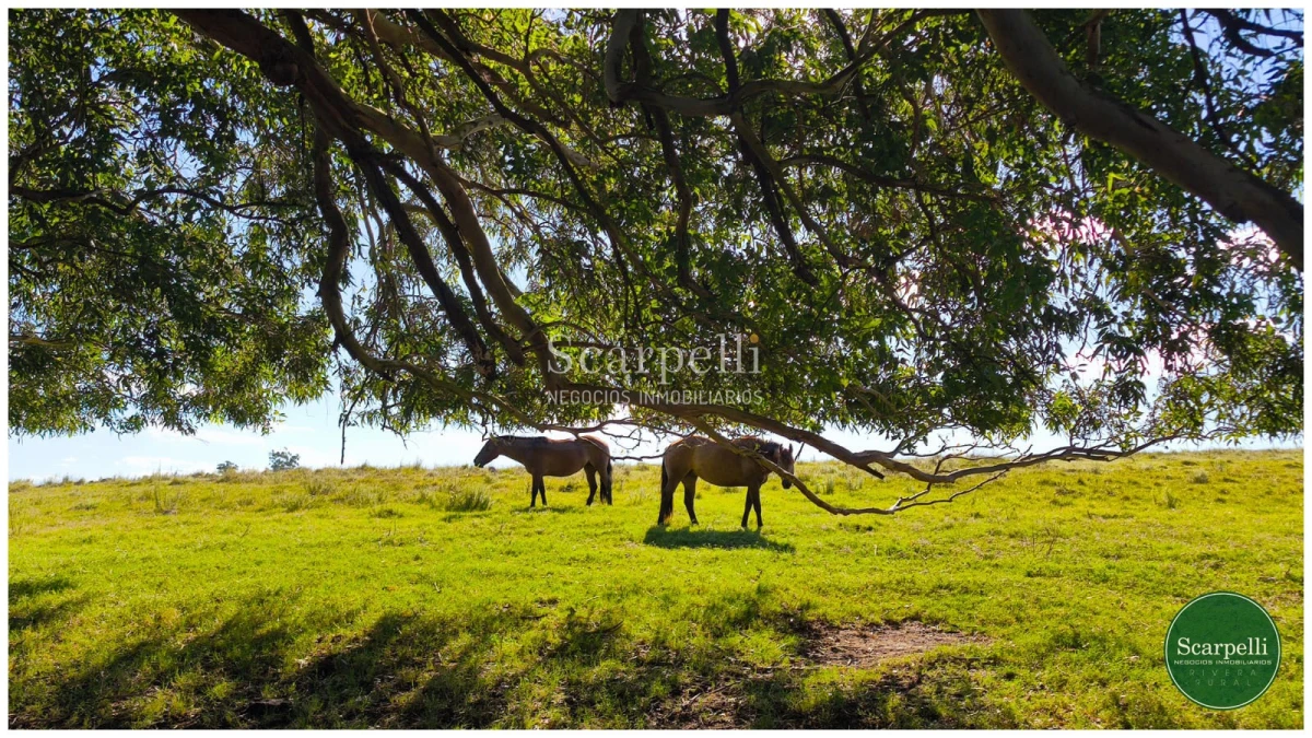 Campo Ref.50563 - Campo con costa al arroyo Yaguarí