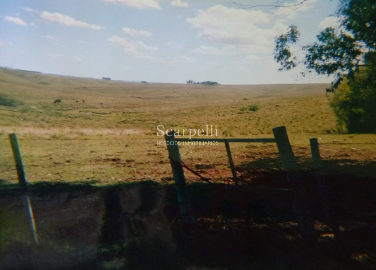 Campo Ref.7401 - Campo de 106 hás en Florida: Arroyo Cabrera a 14 kms Ruta 7:  U S 2900 / há