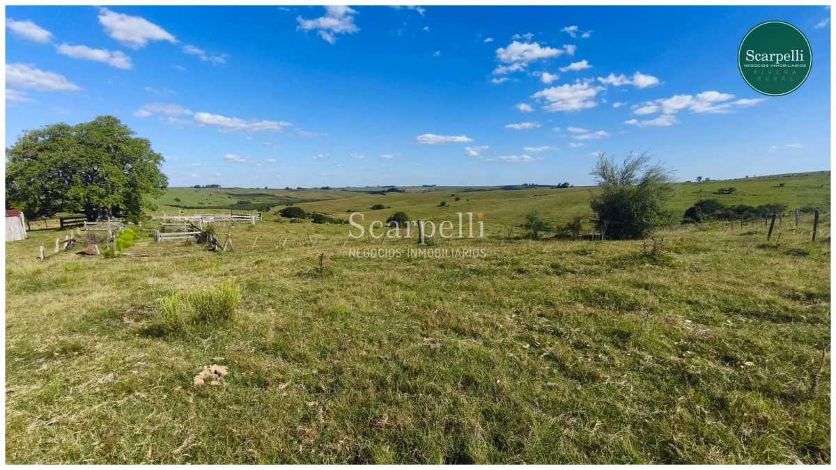 Campo Ref.50563 - Campo con costa al arroyo Yaguarí