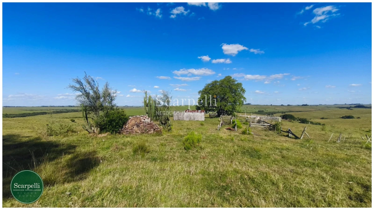 Campo Ref.50563 - Campo con costa al arroyo Yaguarí