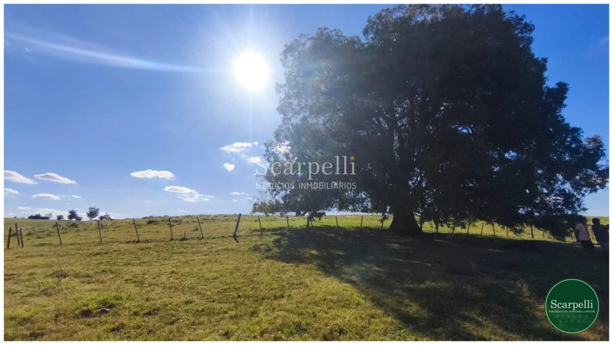 Campo Ref.50563 - Campo con costa al arroyo Yaguarí