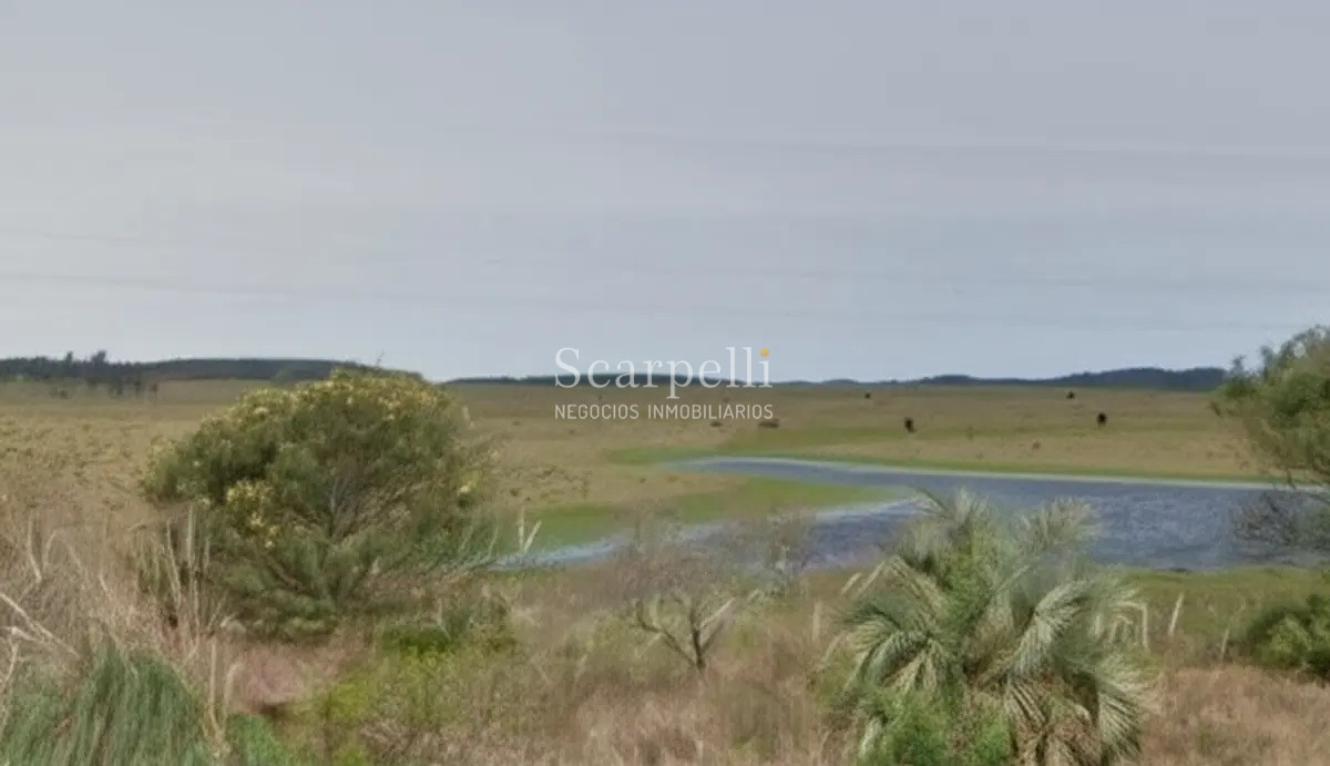 Campo Ref.50468 - Venta Campo Rocha Palmares de la Coronilla 425 hás oceánicas