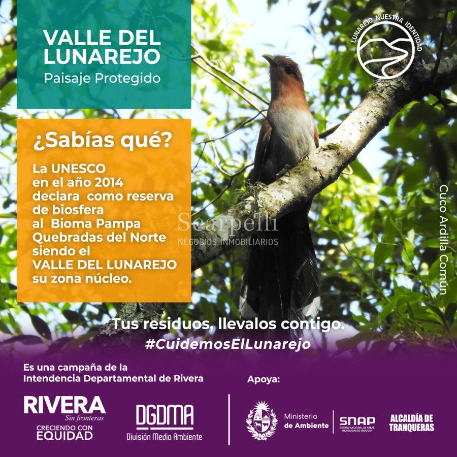 Campo Ref.50419 - Venta Campo Rivera Laureles Valle del Lunarejo proximo 