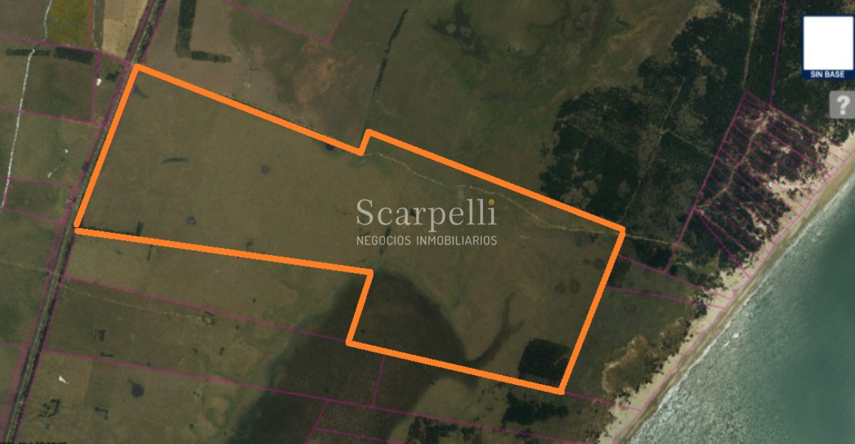 Campo Ref.50468 - Venta Campo Rocha Palmares de la Coronilla 425 hás oceánicas