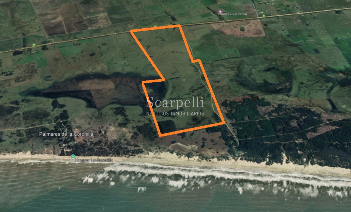 Campo Ref.50468 - Venta Campo Rocha Palmares de la Coronilla 425 hás oceánicas