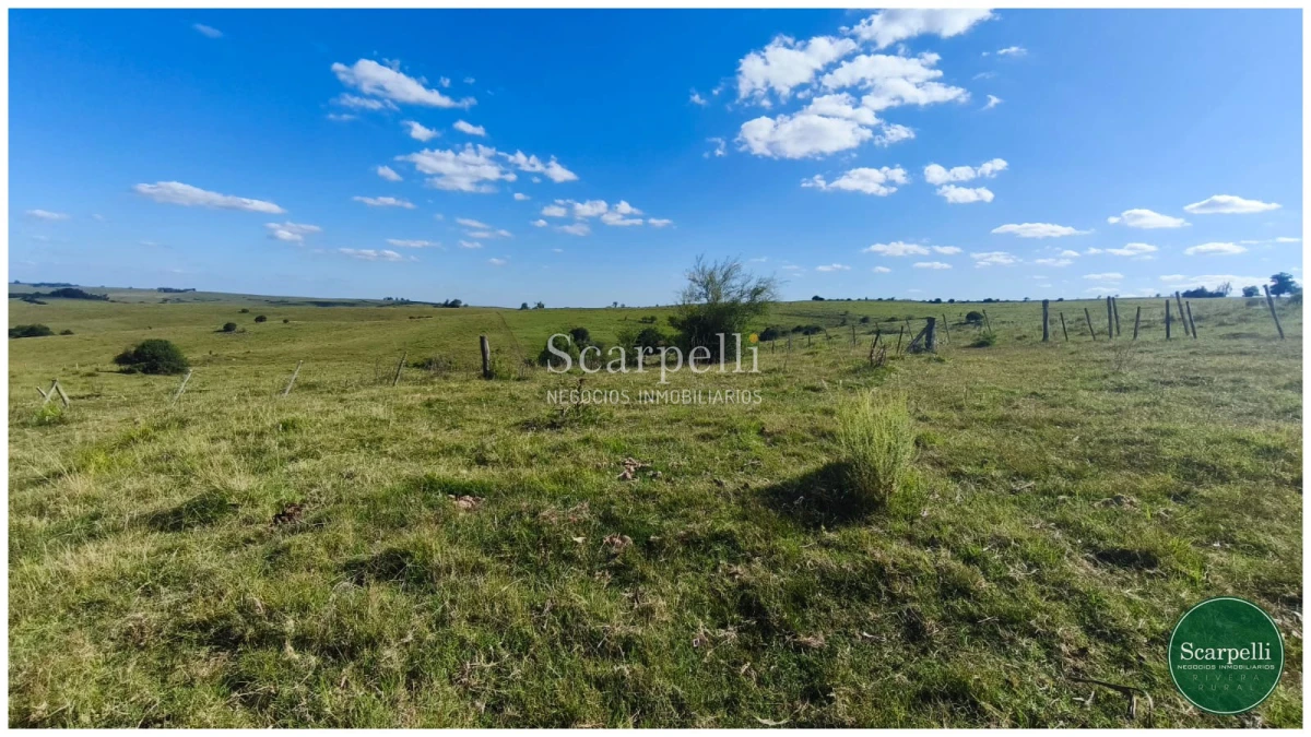 Campo Ref.50563 - Campo con costa al arroyo Yaguarí