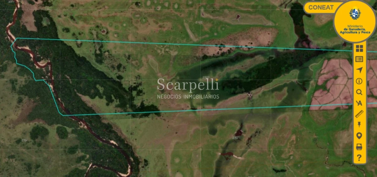 Campo Ref.50474 - VENTA CAMPO RIVERA 86 Hás Costa Rio Tacuarembó Ideal Invernada