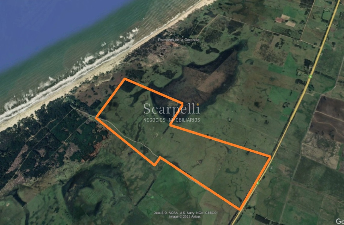 Campo Ref.50468 - Venta Campo Rocha Palmares de la Coronilla 425 hás oceánicas
