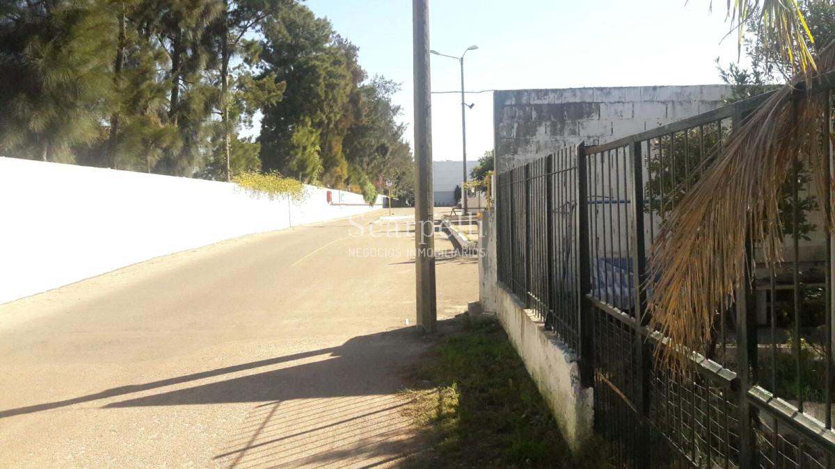 Local Comercial ID.5998 - Estupenda esquina Comercial con importante flujo de Automóviles en el mayor estacionamiento en Centro Comercial