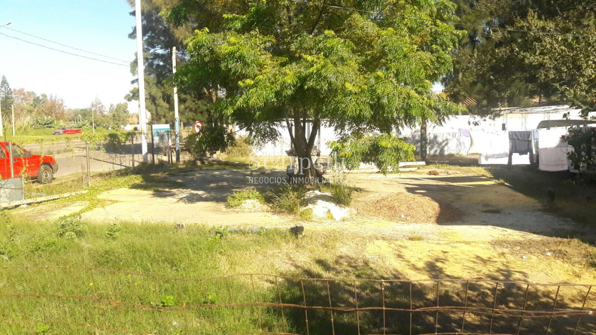 Local Comercial ID.5998 - Estupenda esquina Comercial con importante flujo de Automóviles en el mayor estacionamiento en Centro Comercial