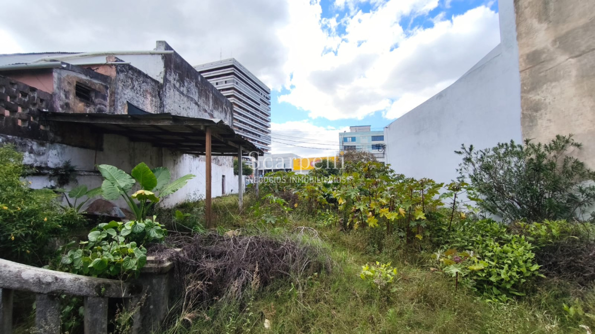 Local Comercial ID.50424 - VENTA & ALQUILER LOCAL COMERCIAL o TERRENO RIVERA CENTRICA FRENTE A LA LINEA DIVISORIA BRASIL