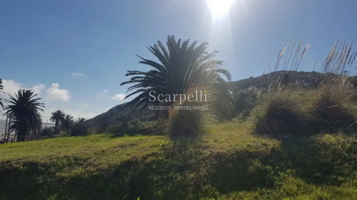 Terreno ID.50698 - Venta Terreno 25.000 M² Cerro San Antonio, Piriápolis