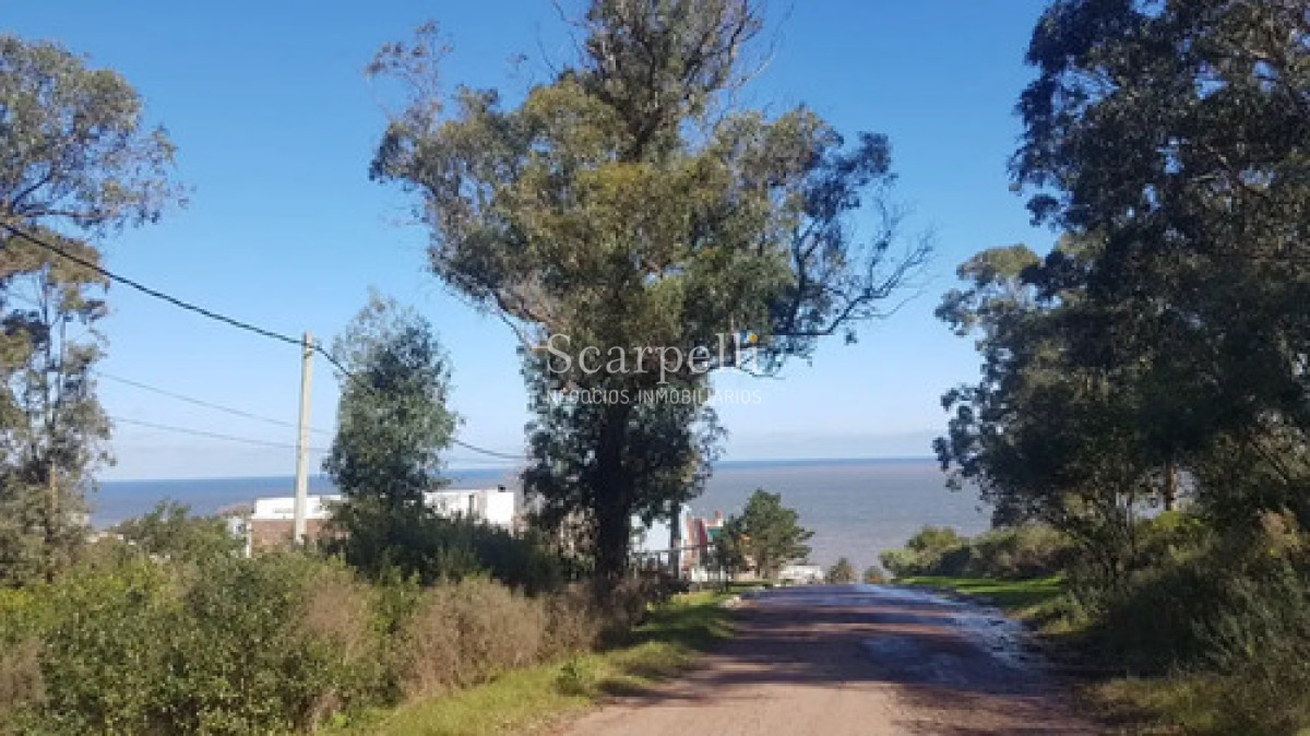 Terreno ID.50698 - Venta Terreno 25.000 M² Cerro San Antonio, Piriápolis