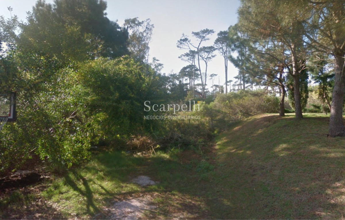 Terreno ID.12860 - Parada 34 Playa Mansa con frente a Cno. a la Laguna 12.800 m2 con salida a 3 calles y a 100 mts. de la Rambla.-