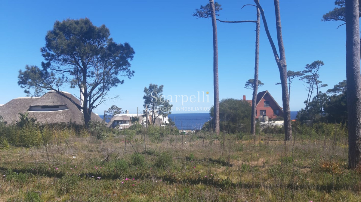 Terreno ID.12860 - Parada 34 Playa Mansa con frente a Cno. a la Laguna 12.800 m2 con salida a 3 calles y a 100 mts. de la Rambla.-