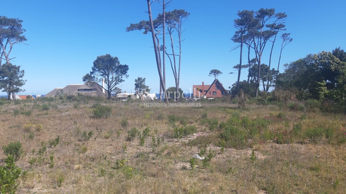 Terreno ID.12860 - Parada 34 Playa Mansa con frente a Cno. a la Laguna 12.800 m2 con salida a 3 calles y a 100 mts. de la Rambla.-