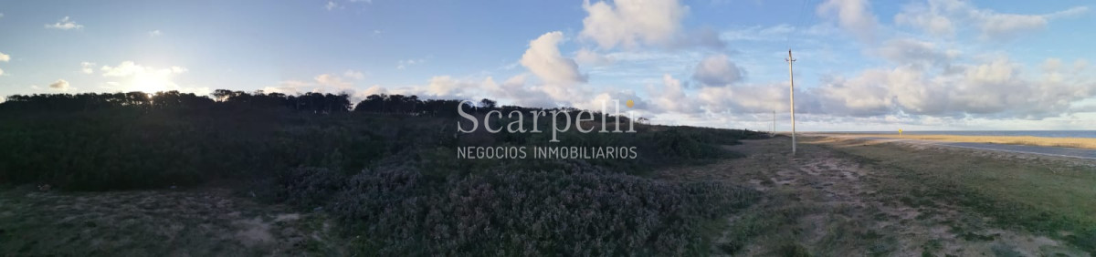Terreno ID.21127 - Frente al Océano Rochense y  muy próximo a Laguna Garzón y Puente Circular E. Constantini.-