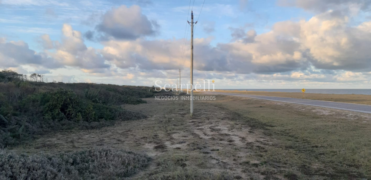 Terreno ID.21127 - Frente al Océano Rochense y  muy próximo a Laguna Garzón y Puente Circular E. Constantini.-