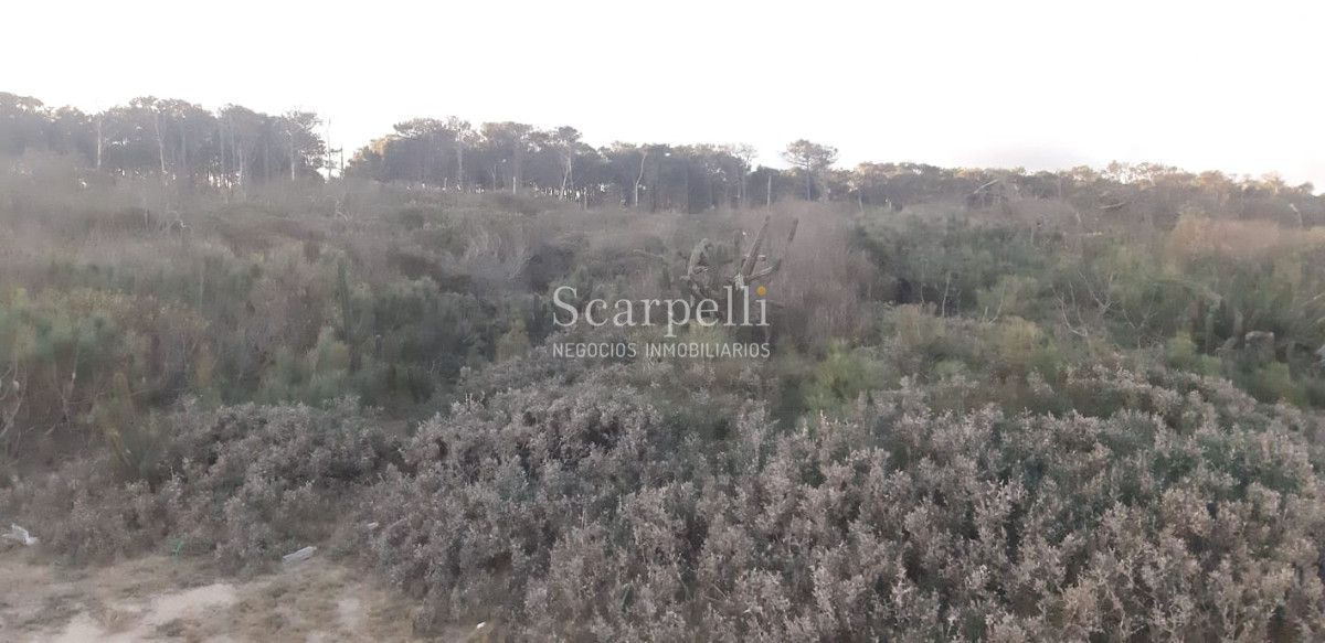 Terreno ID.21127 - Frente al Océano Rochense y  muy próximo a Laguna Garzón y Puente Circular E. Constantini.-