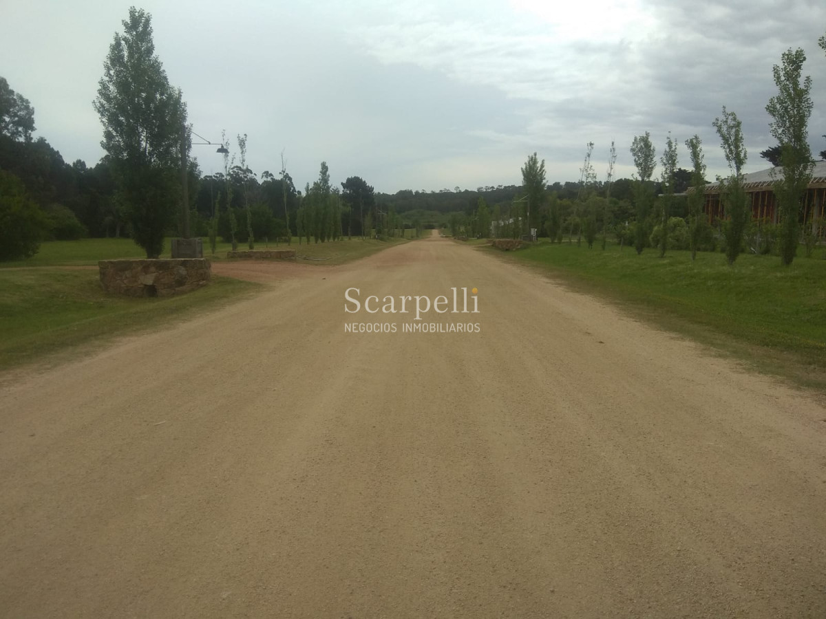 Terreno ID.21800 - Fraccionamiento Los Tordillos Próximo Punta Ballena y Punta del Chileno.-