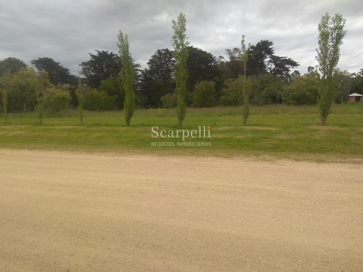 Terreno ID.21800 - Fraccionamiento Los Tordillos Próximo Punta Ballena y Punta del Chileno.-