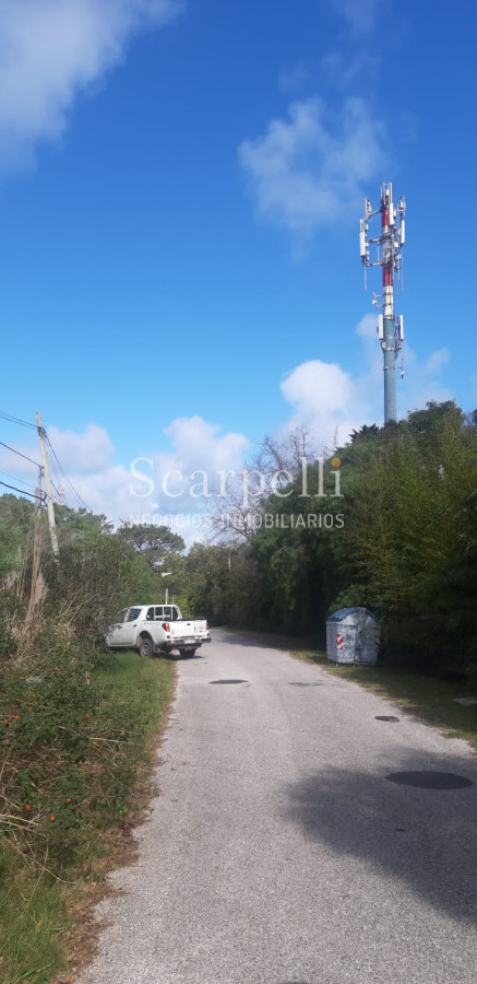 Terreno ID.21859 - Punta Ballena: estupendo terreno de 1000 m2 en entorno privilegiado muy cerca del Arboreto Lussich