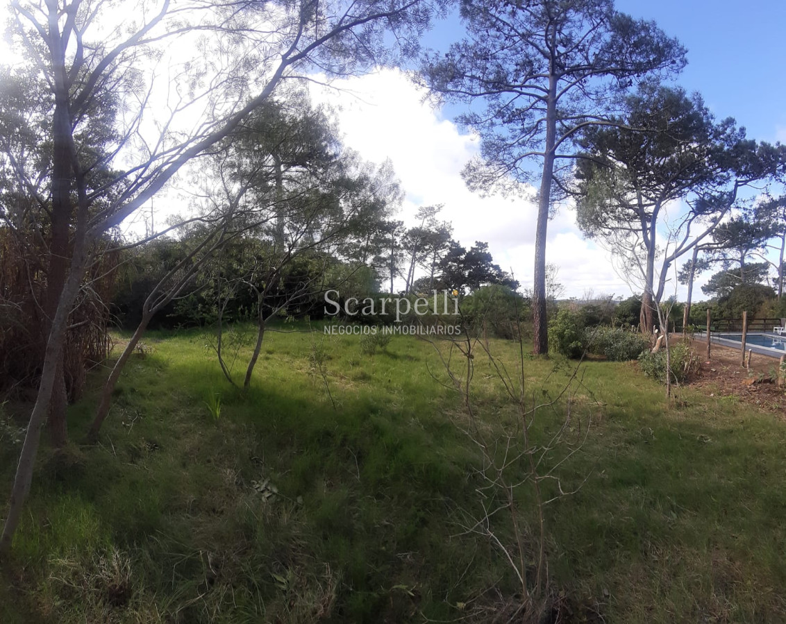 Terreno ID.21859 - Punta Ballena: estupendo terreno de 1000 m2 en entorno privilegiado muy cerca del Arboreto Lussich