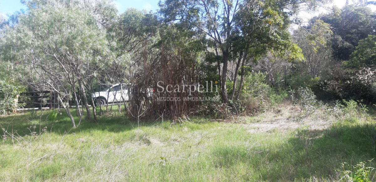 Terreno ID.21859 - Punta Ballena: estupendo terreno de 1000 m2 en entorno privilegiado muy cerca del Arboreto Lussich