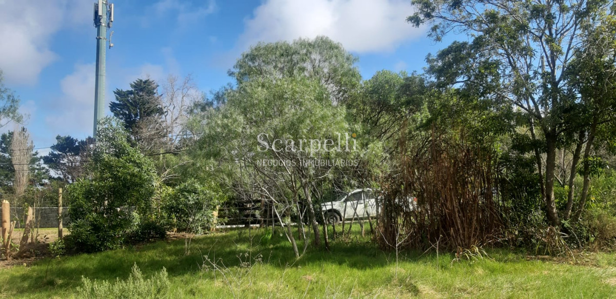 Terreno ID.21859 - Punta Ballena: estupendo terreno de 1000 m2 en entorno privilegiado muy cerca del Arboreto Lussich