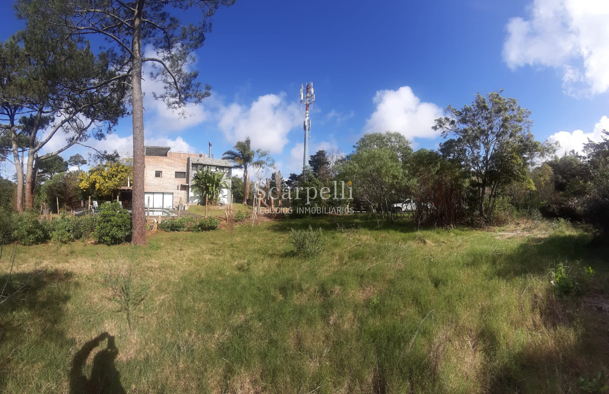 Terreno ID.21859 - Punta Ballena: estupendo terreno de 1000 m2 en entorno privilegiado muy cerca del Arboreto Lussich